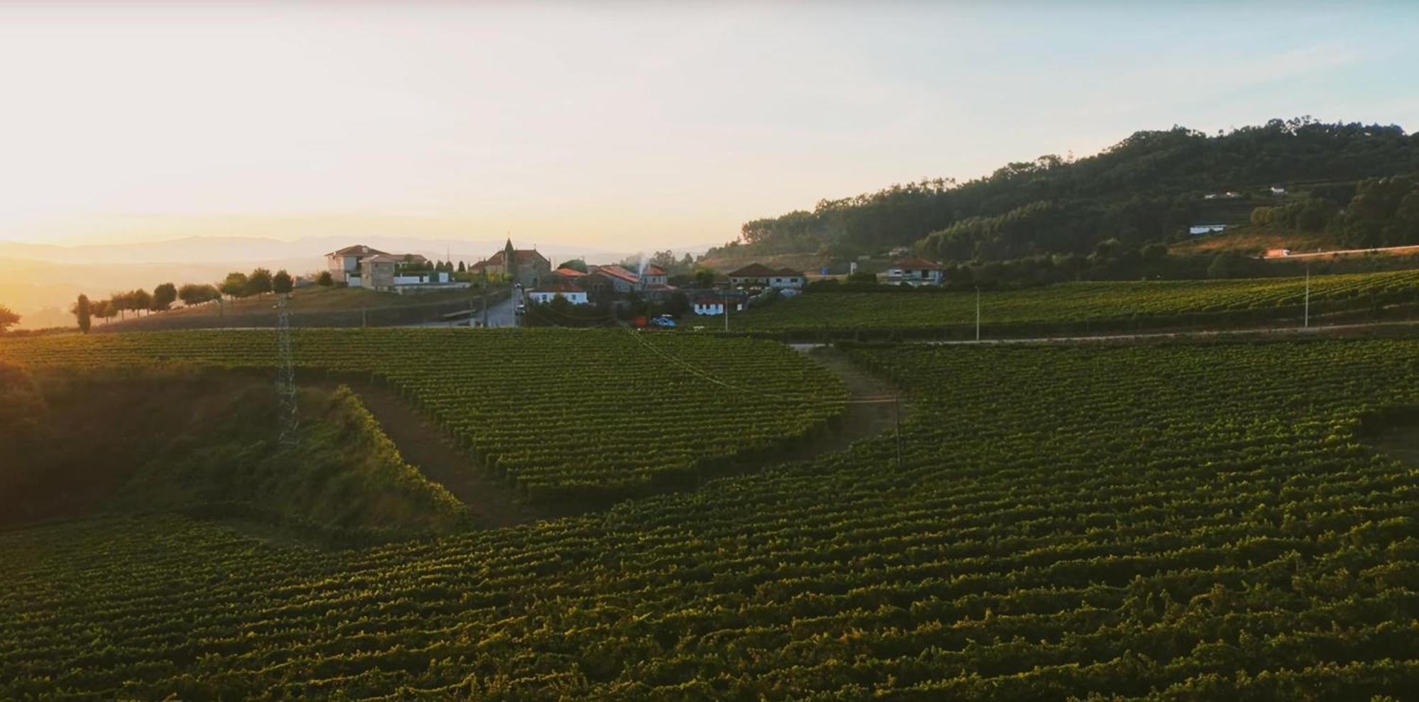 The Farmhouse I - Uma Quinta Deslumbrante เฟลเกรัช ภายนอก รูปภาพ